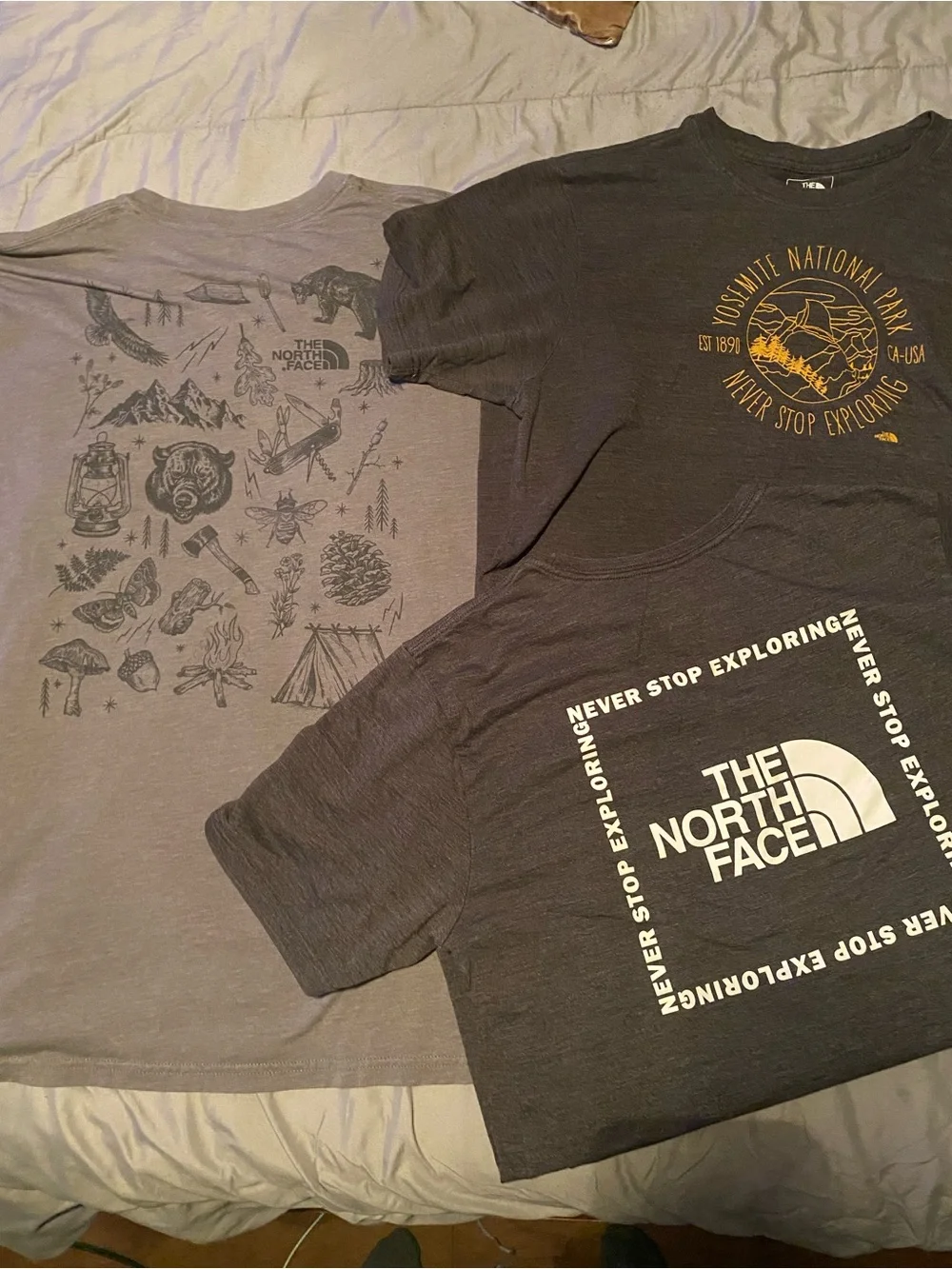 The North Face Mens Gray Graphic Tee - Never Stop Exploring